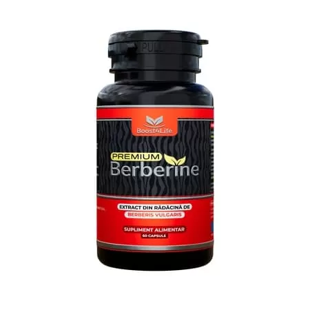 Berberine Premium, 600 mg, Boost4Life, 60 capsule
