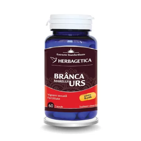 Branca Marelui Urs, 60 capsule, Herbagetica