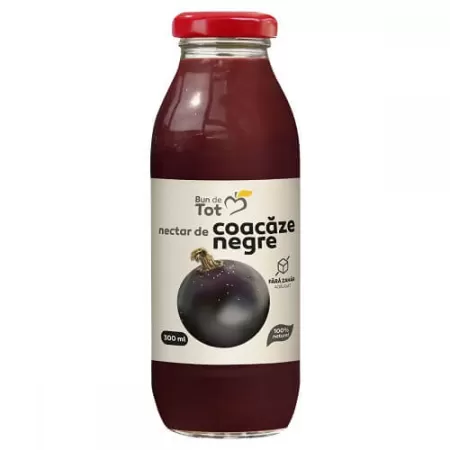 Nectar de coacaze negre, Dacia Plant Bun de Tot, 300 ml