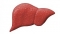 Protectoare hepatice