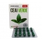 Ceai Verde, 30 capsule, Parapharm